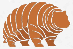 The Slow Bear — a friendly orange bear