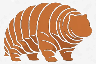 The Slow Bear — a friendly orange bear
